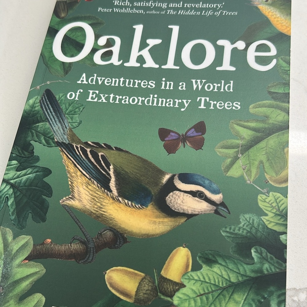 🌻4/$20 Oaklore Adventures Book by Jules Acton Paperback Edition 2024 - Picture 12 of 12